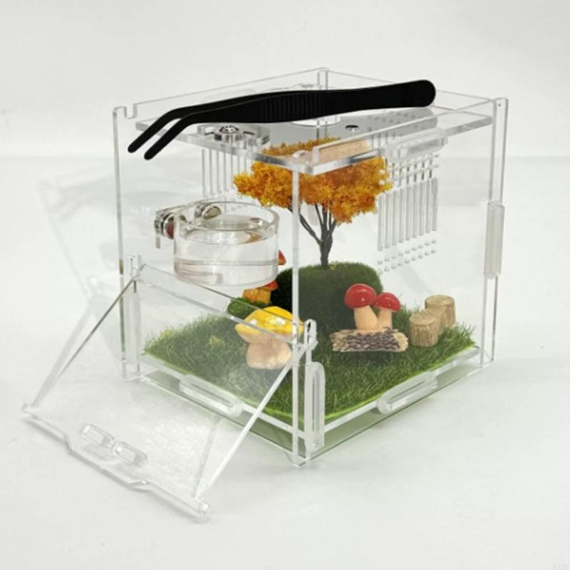Water Dish Reptile - KXRE Terrarium Magnetischer Futternapf für Reptilien