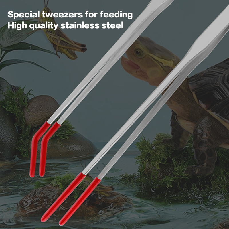 Edelstahl-Wartungswerkzeuge fü – Feeding Tong Stainless Bewertung und Preis