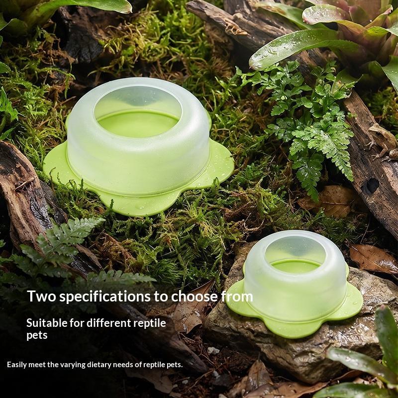 1 Stück ABS Reptilien-Futtersc – Water Dish Reptile Bewertung und Preis