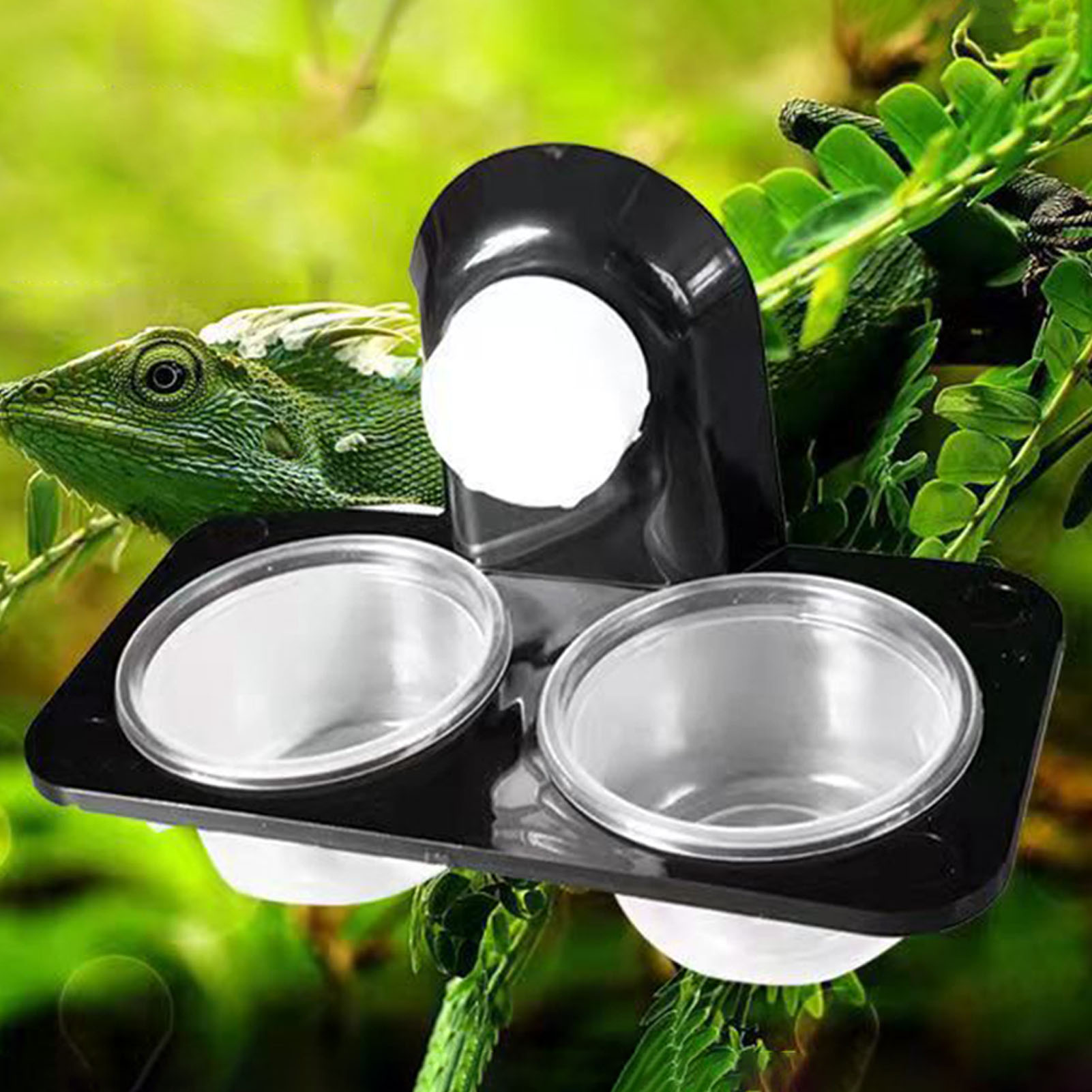Crested Gecko Fütterung leiste – Water Dish Reptile Bewertung und Preis